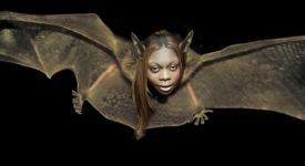 hallo human bat hybrid