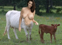 Mary and her calf