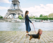 Paris Hilton walking herself in Paris