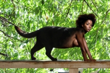 black catgirl