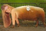 breeder