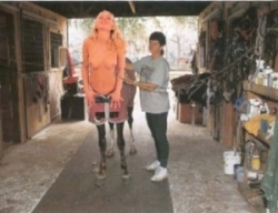 centaurs