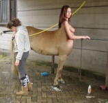 cleaning her centaur friend