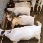 goat girl in the barn