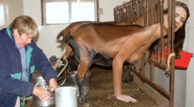 goatgirl is milked by her mother