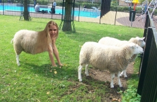 happy sheepgirl