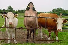 last to be milked