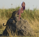 leopard on termite mound