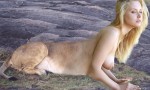 lioness