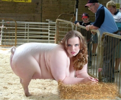 piggirls