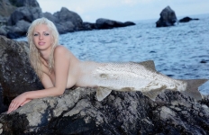 mermaid on the rocks
