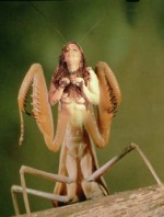 monster mantis