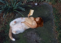 cat reading a book on a tombstone