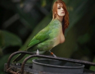 red green bird girl