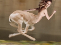 running gazelle