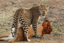 slain antilope girl on the savanna