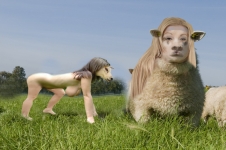 sheepheaded girl or girlheaded sheep