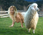merino sheep girl
