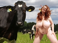 cow and hybrid