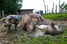piggirl wallowing in the mud