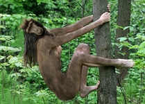 hybrid monkey girl