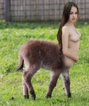 donkey human hybrid