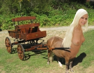 female centaur with buckboard
