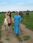 Amish centaur