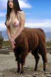 brown llama girl