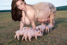 hybrid sow and her ofspring