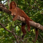 orange woody monkey girl