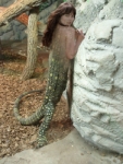 hybrid reptile in the zoo