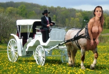 wedding coach with centaur