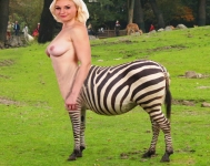 zebra centaur girl